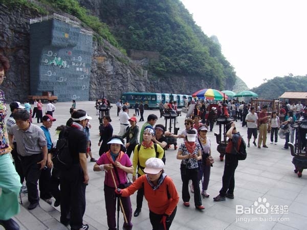 张家界十一黄金周自助游攻略