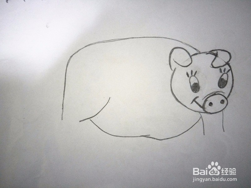 简笔画—卡通猪的画法