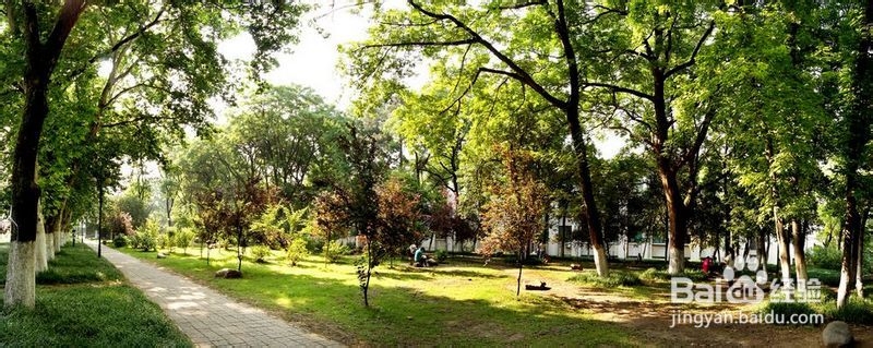 安徽农业大学校园聚会&约会精选场地