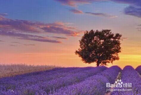 怎样才能不会晕车 晕车能治好吗