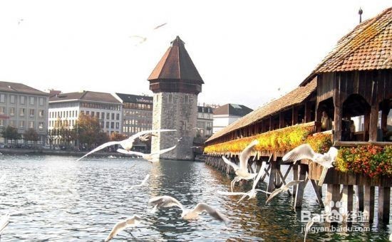 瑞士留学如何完善你的成绩单?