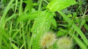 夏季为什么会犯困？如何预防？