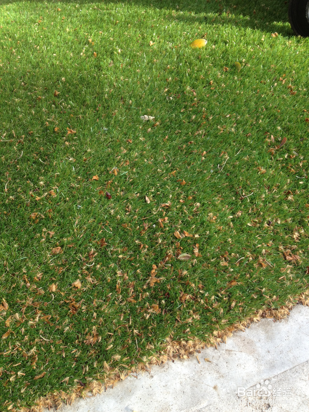 如何打理人造草坪以及草坪保养的注意事项