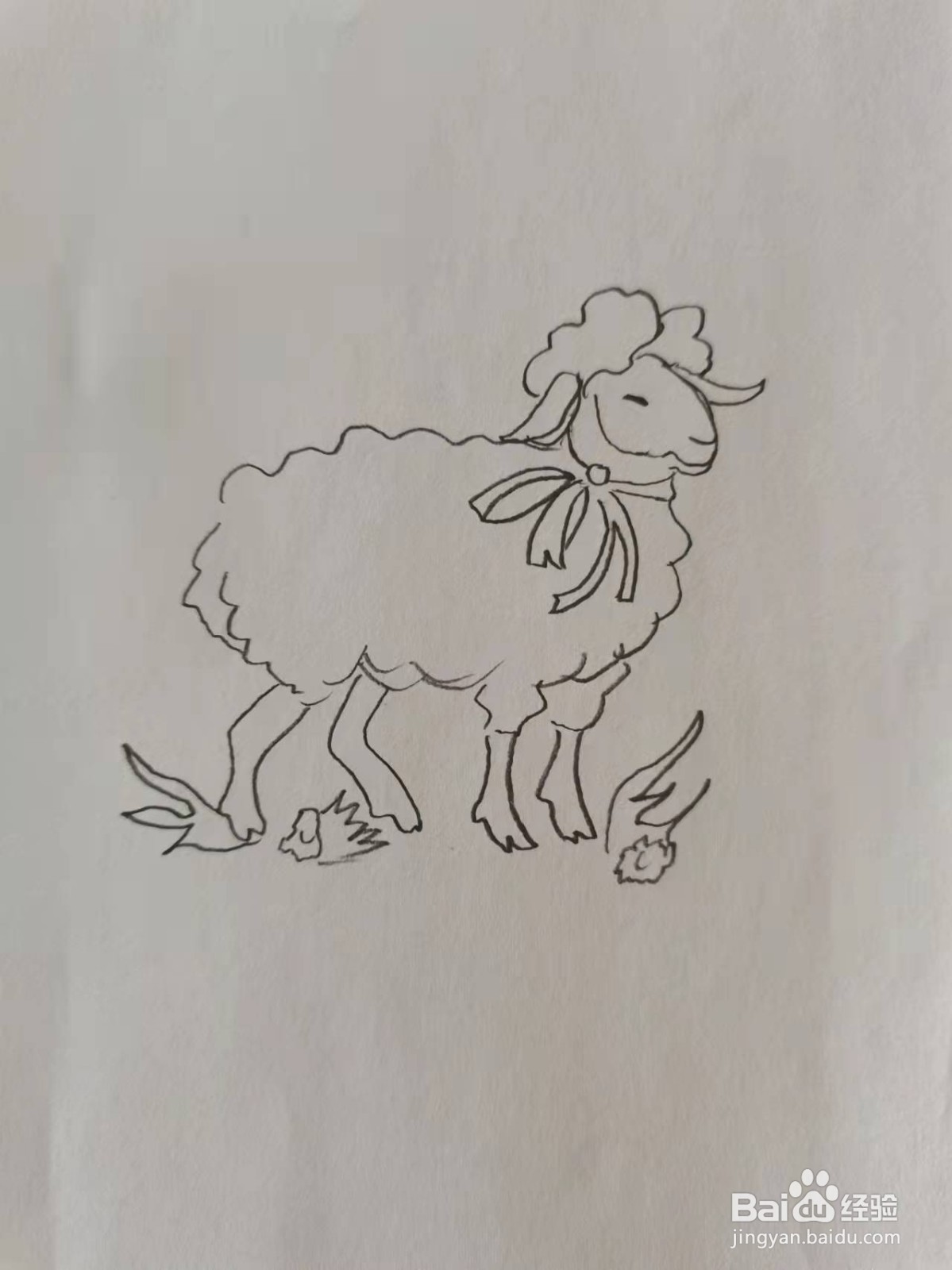 优雅的小绵羊怎么画