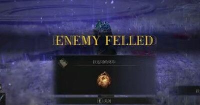 艾尔登法环拉达冈的烙印护符获得方法