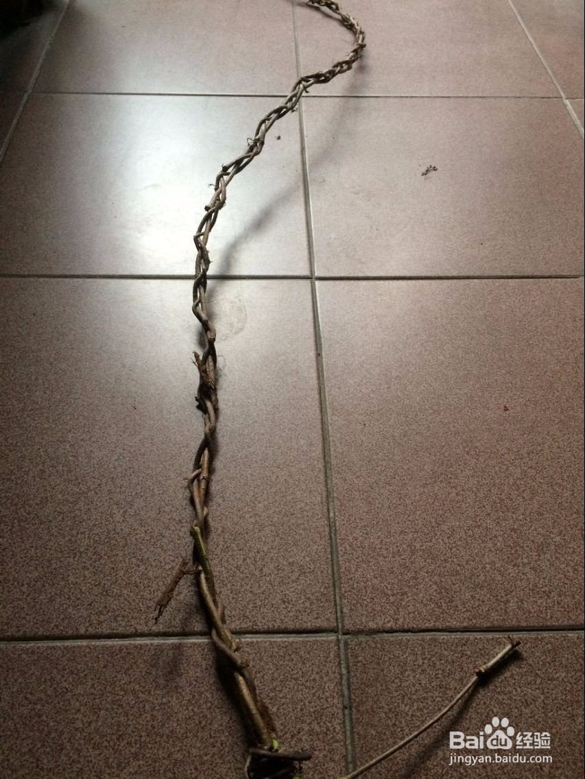 怎么用滕条做绳索