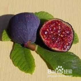 无花果对减肥和维持血压有很大的帮助