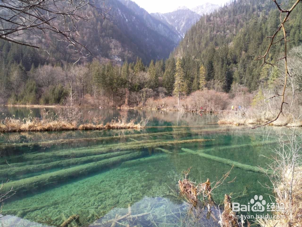 九寨沟冬季自驾游旅游攻略