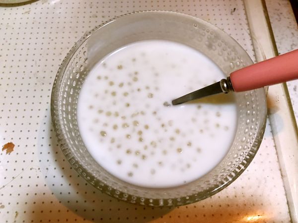 草莓椰奶西米露