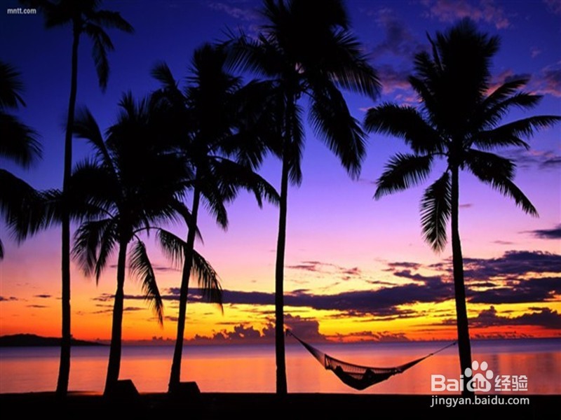 怎样在淘宝上开店?