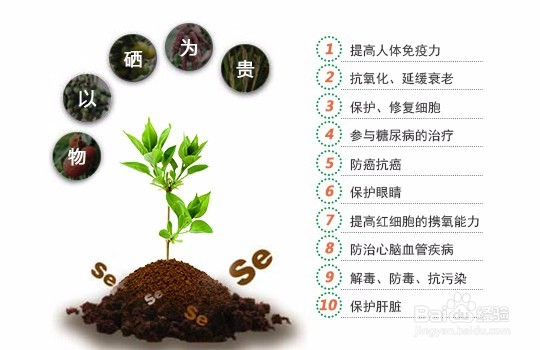 一岁宝宝厌食怎么办?聪明的妈妈都会用“锌”