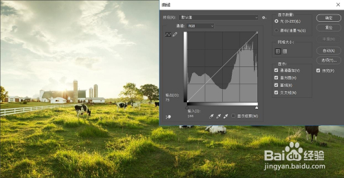 PS里曲线工具的使用技巧