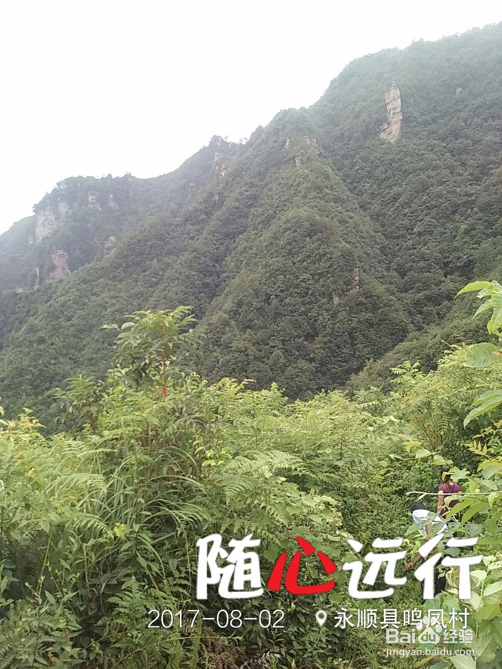 山羊洞美女帅哥心中的家