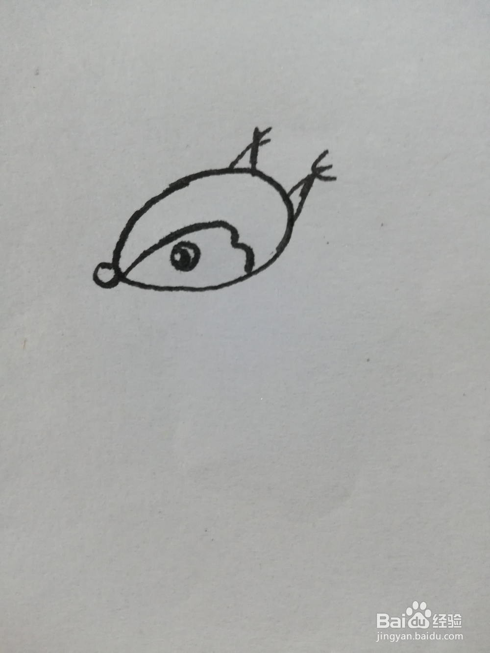 怎么画可爱的小松鼠的简笔画呢