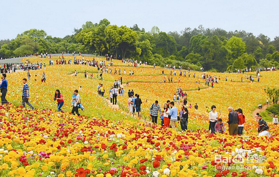 二十四节气之立春