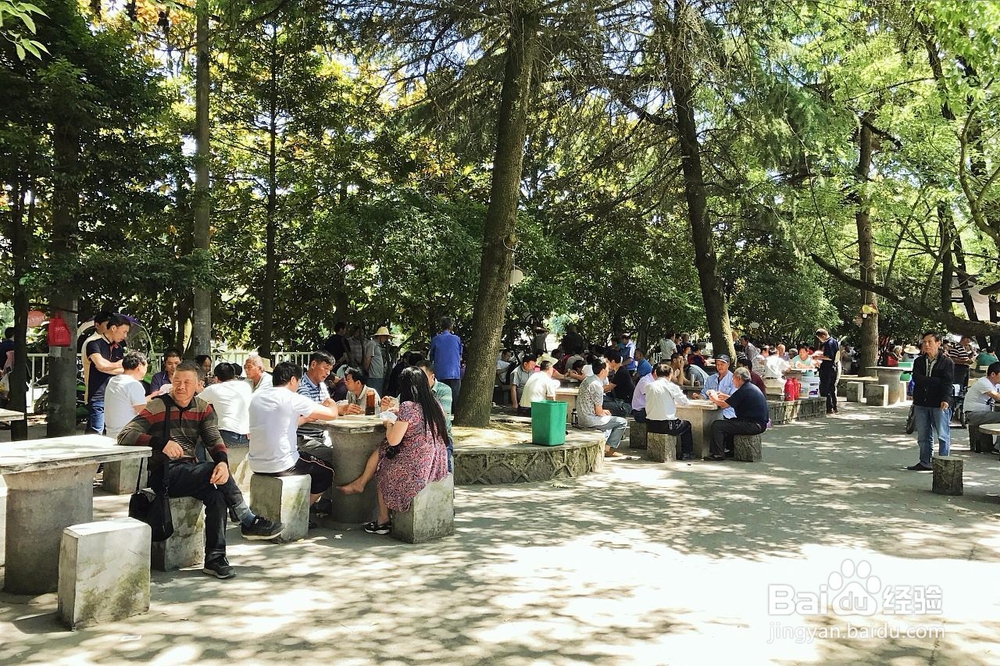 七月外出游玩应该注意什么？
