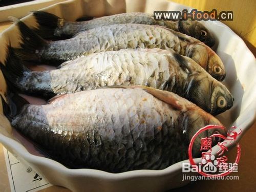 怎样做美味的鲫鱼