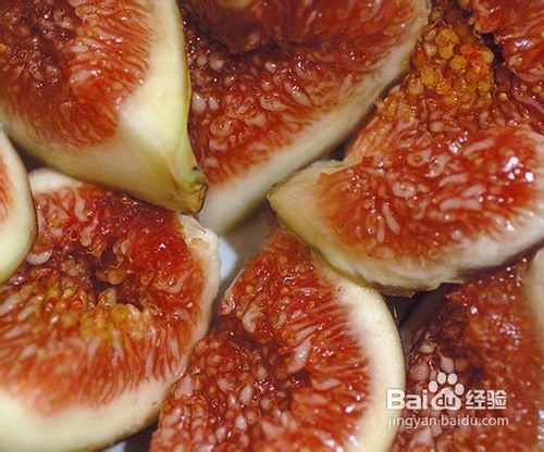 无花果的功效与作用及食用方法