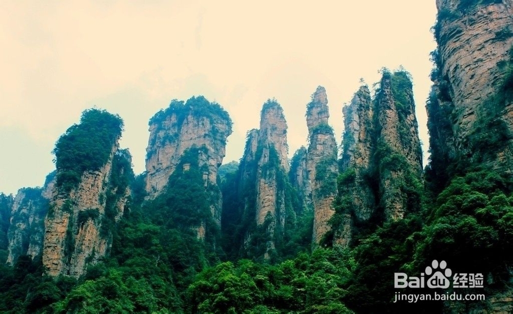 张家界学生自助游