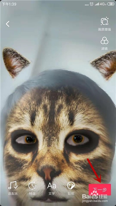 抖音小花猫特效在哪小花猫特效视频怎么拍
