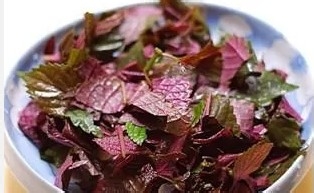 感冒了吃什么好的快