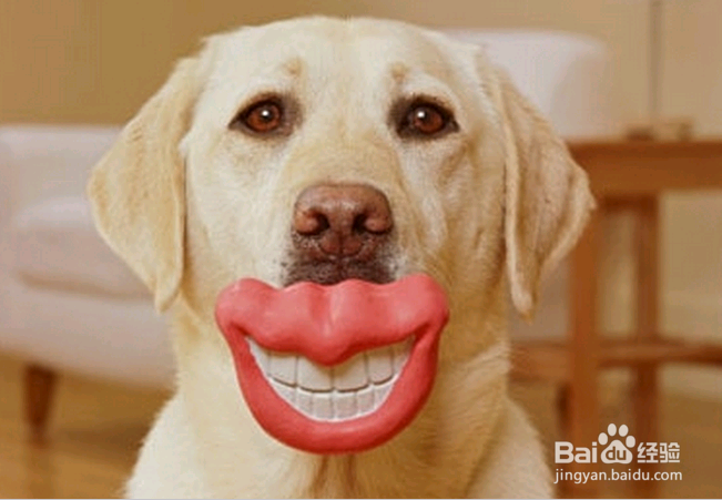 职场说话技巧之八个不要说！想升职加薪的必知！