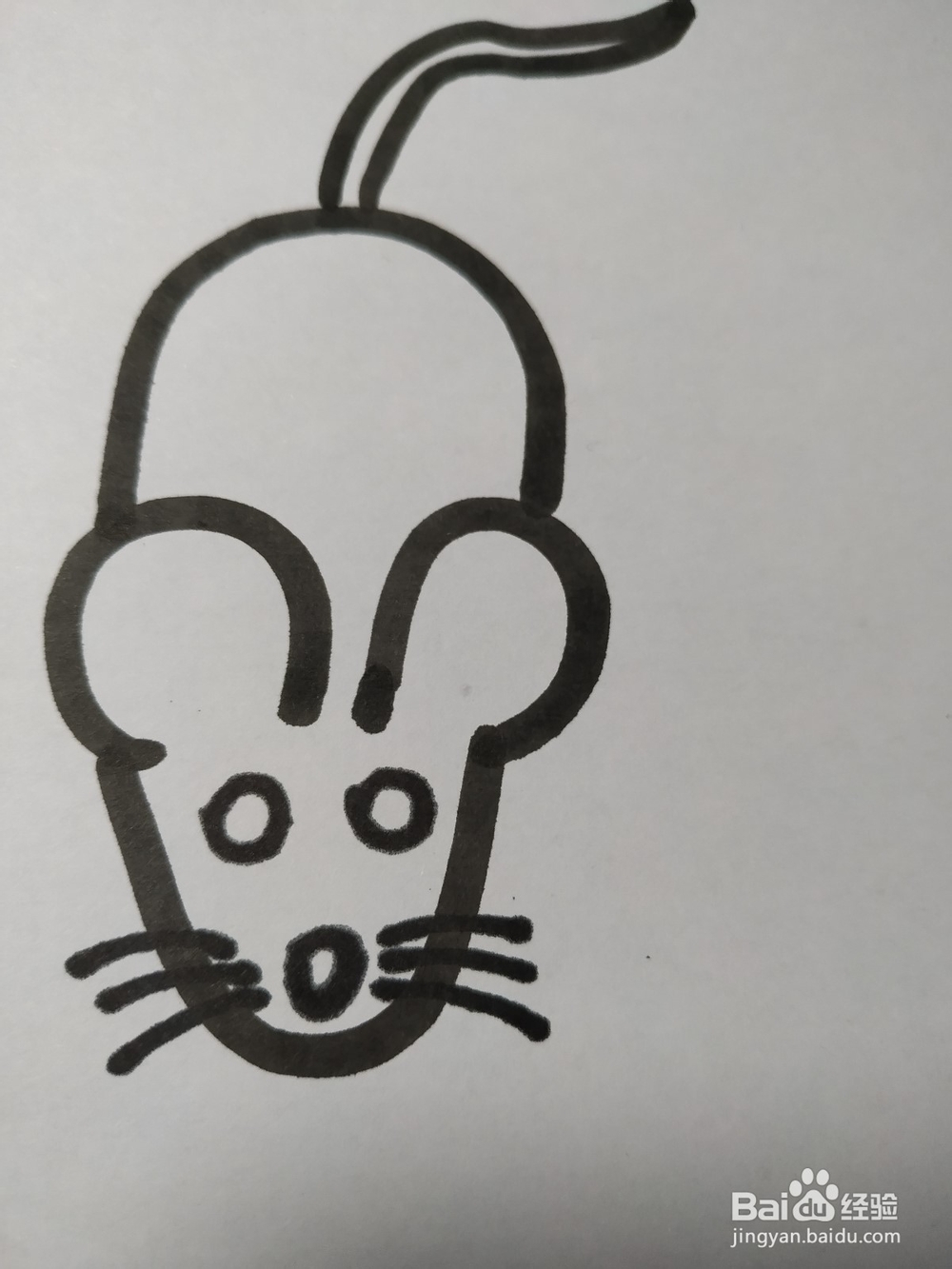 老鼠的简笔画技法43