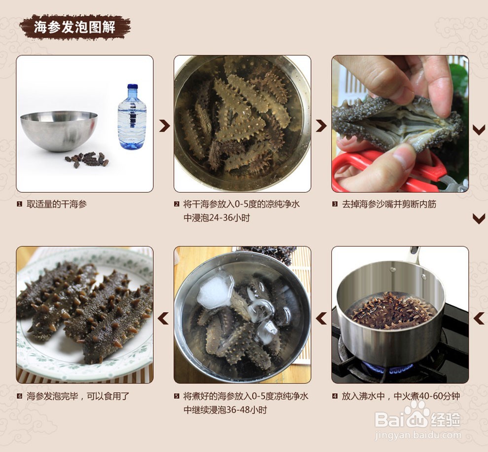 海参怎么发？为什么发不大呢