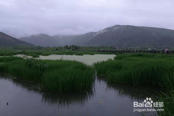 泸沽湖不跟团怎么玩