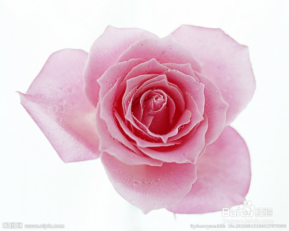 因为什么大家喜欢你