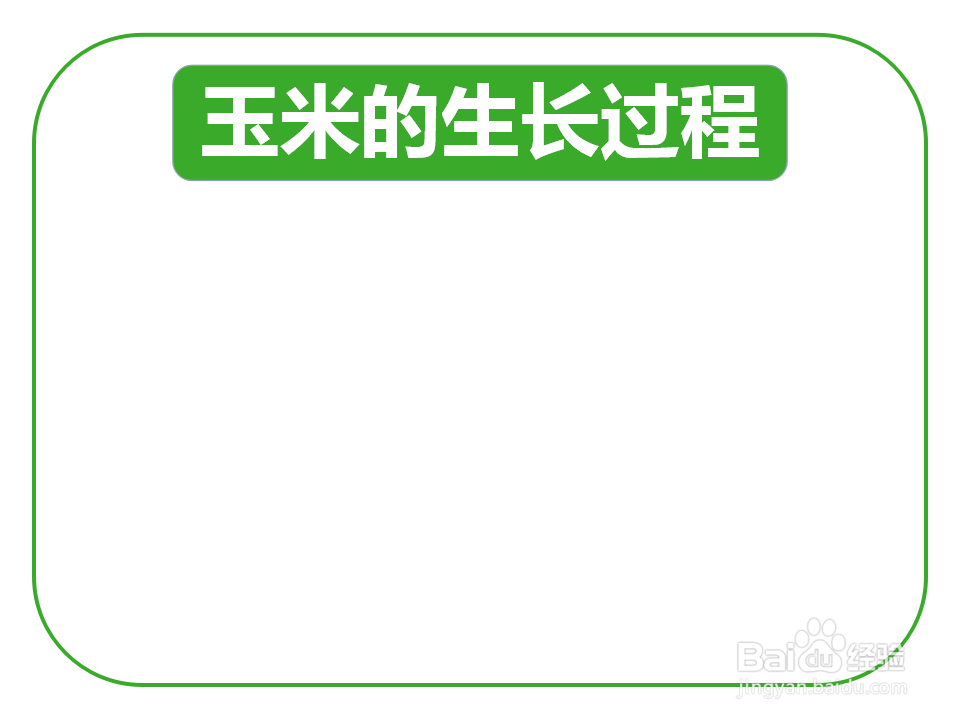 玉米的生长过程手抄报