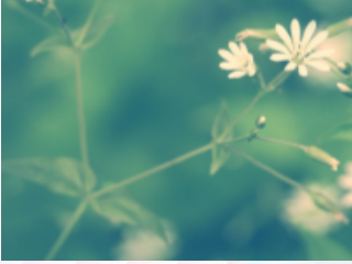 苏州专利申请流程是怎样的呢？