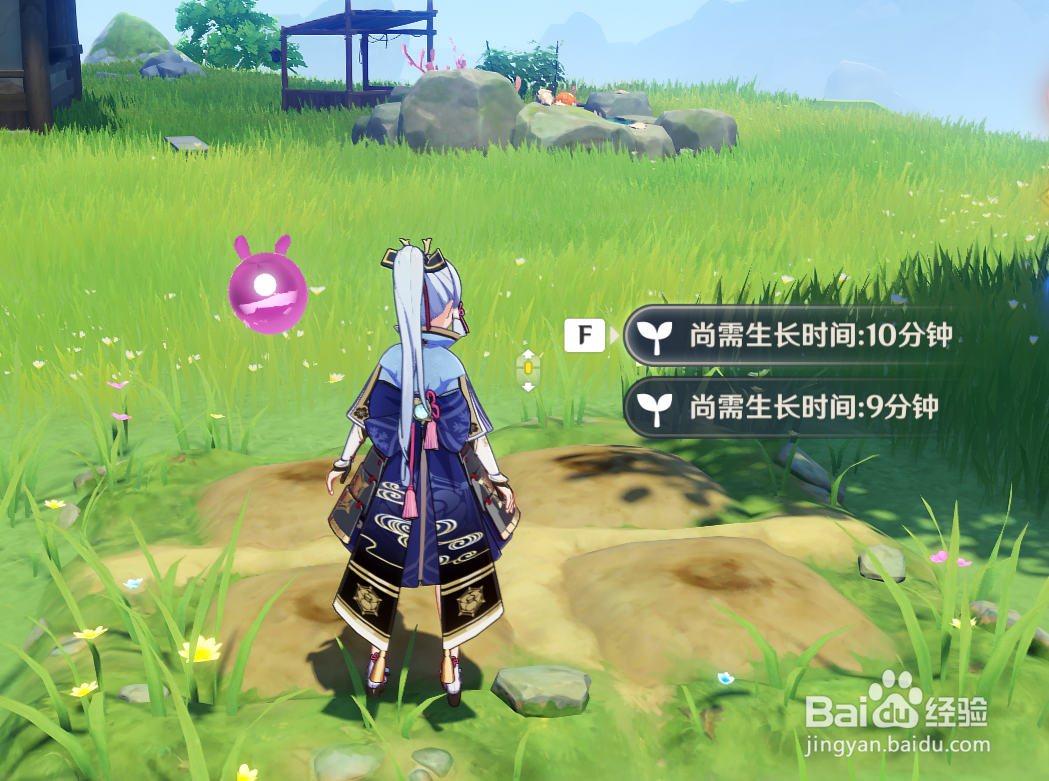 原神梦里生花活动怎么玩