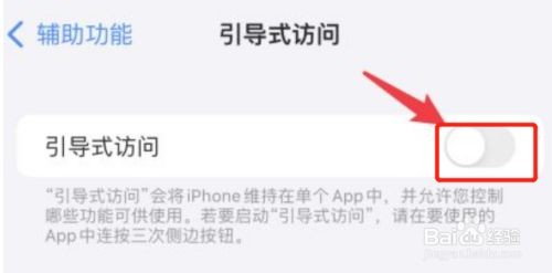 苹果手机引导式访问功能在哪里开启