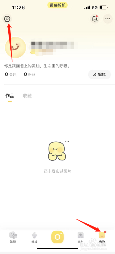 黄油相机怎么设置静态图