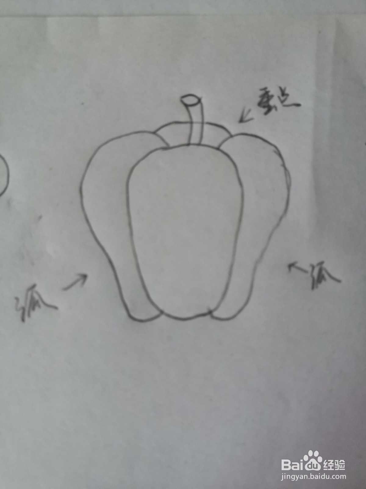 怎么画辣椒简笔画