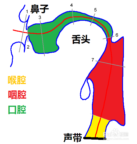 声乐演唱中如何产生共鸣并进行自我支配调整