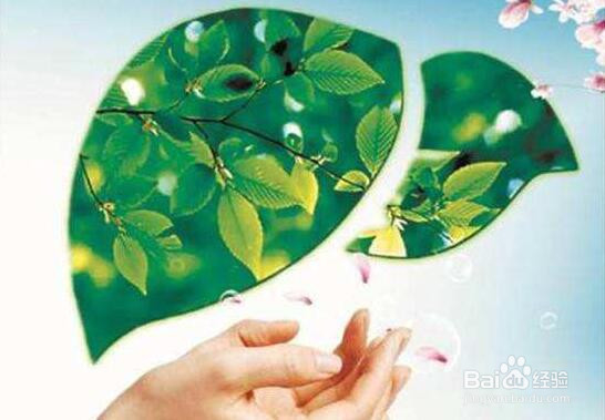 春季怎么养肝护肝