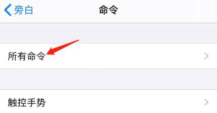 怎么设置iPhone的旁白命令
