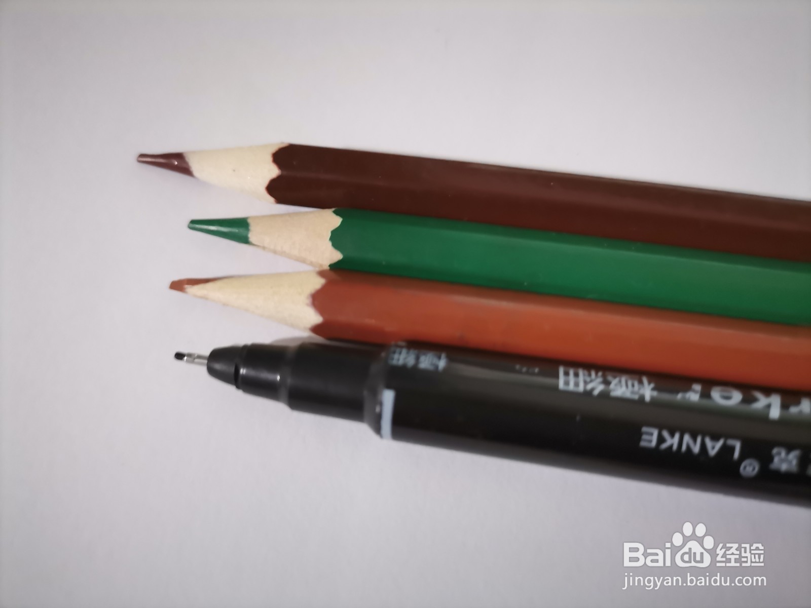 儿童简笔画 一棵椰树