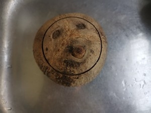 推荐椰子炖鸡