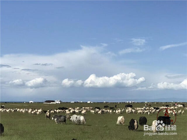 青海湖二郎剑景区旅游怎么样