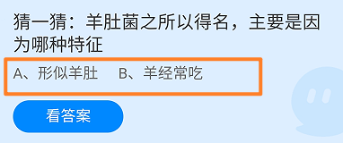 羊肚菌之所以得名主要是因为哪种特征？蚂蚁庄园