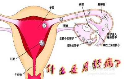 女性经期不应该做哪些事情呢？