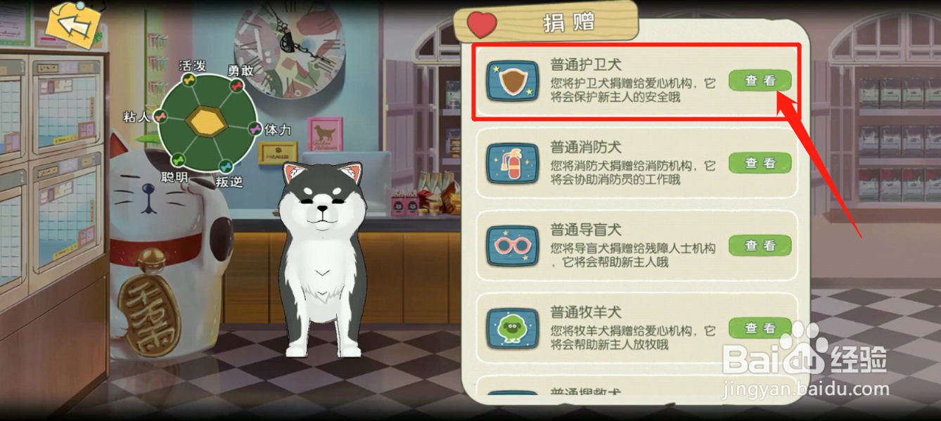 小森中如何捐赠护卫犬