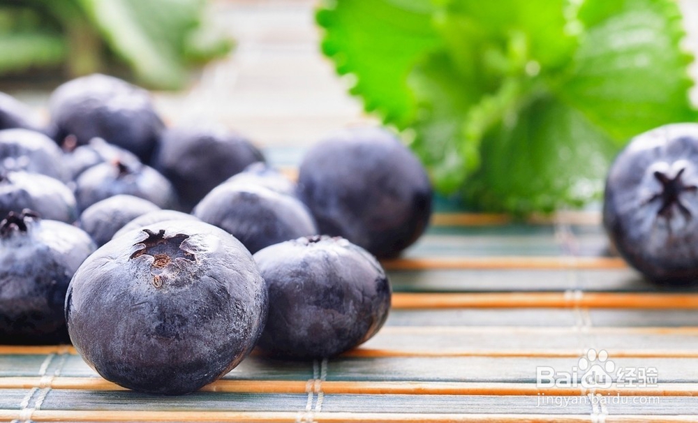 怎么挑选新鲜的蓝莓？