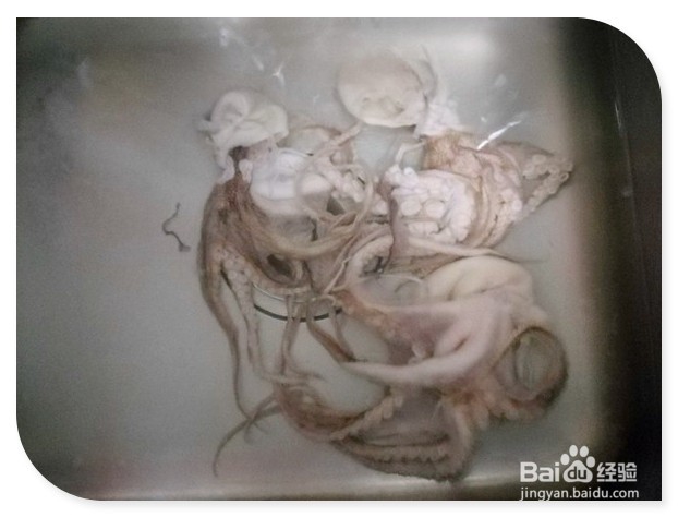 青椒炒八爪鱼的做法