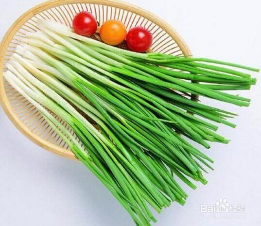 如何防治高脚白大葱的病虫害?