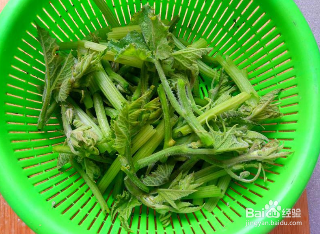 南瓜藤炒鸡丝