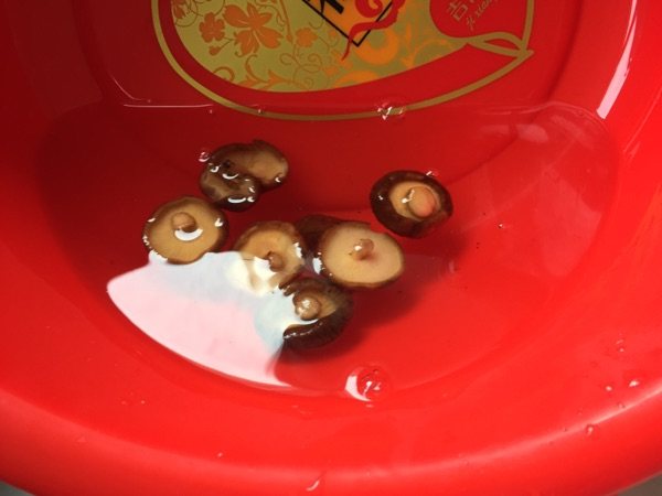 猪肉煎饺，有妈妈的味道！